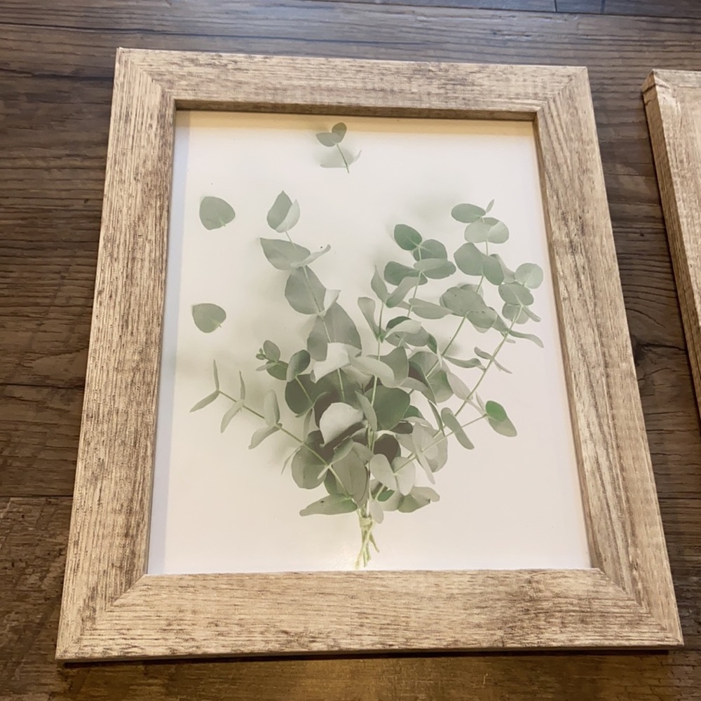 Leaf pictures in frames bundle - Picture 2 of 7